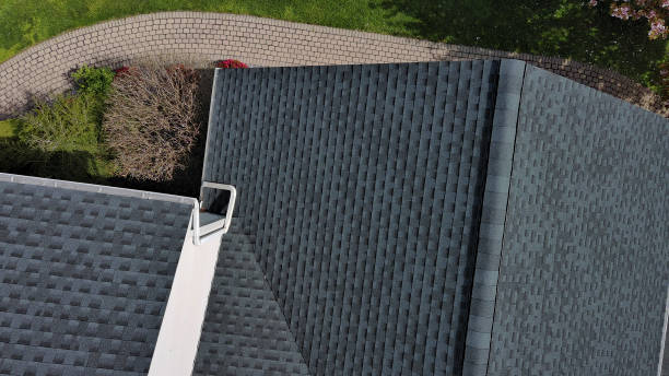 Best Roof Maintenance and Cleaning  in Tarboro, NC