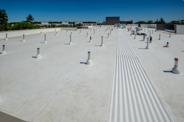 Best Solar Panel Roofing Installation  in Tarboro, NC